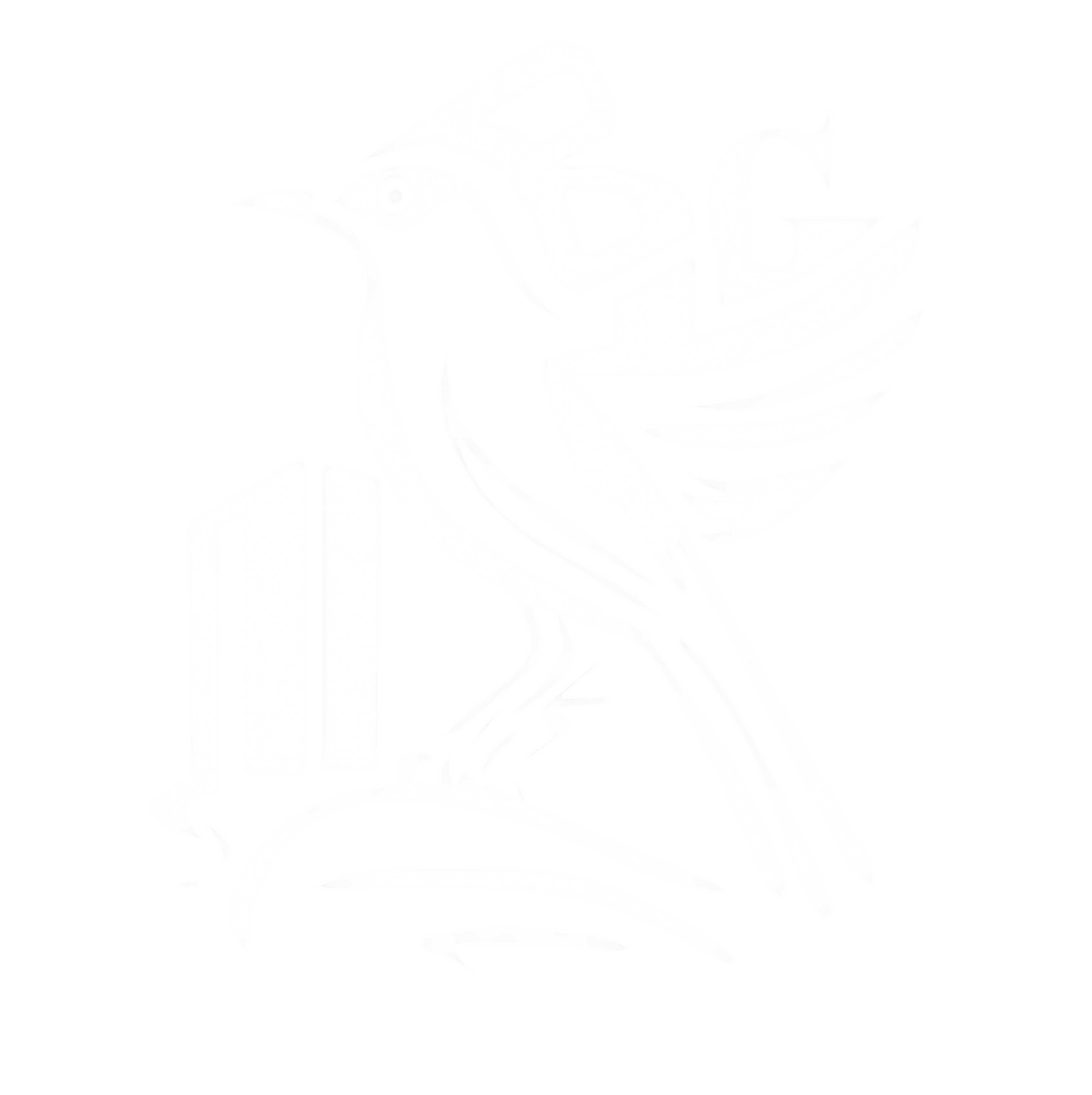 Arquitectos Bolgran.